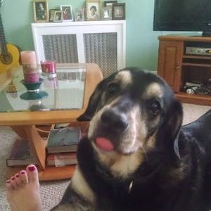 Meet your Posher, Jackie